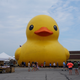 The World’s Largest Rubber Duck